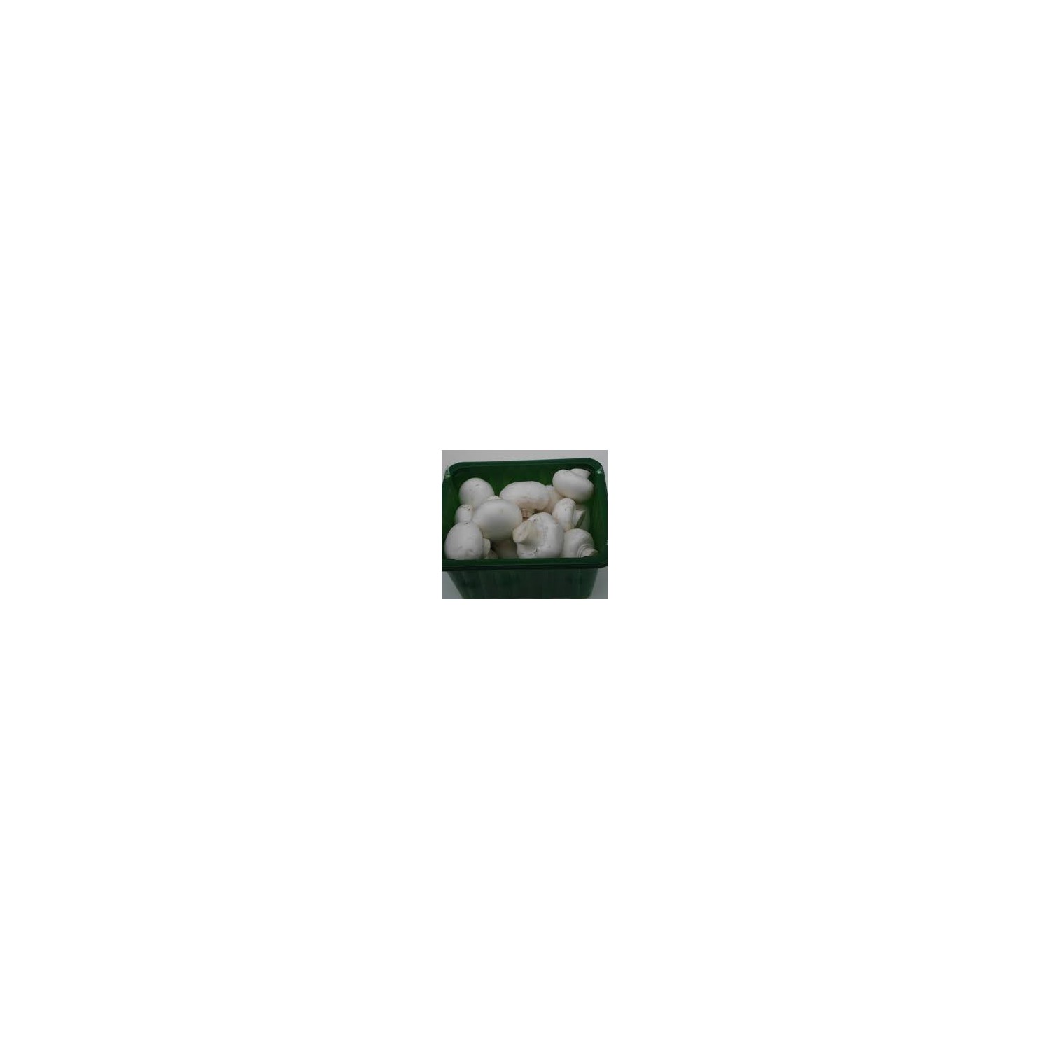Champignon blanc ravier 250g